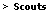 CPN's Girl Scouts and Cub Scouts